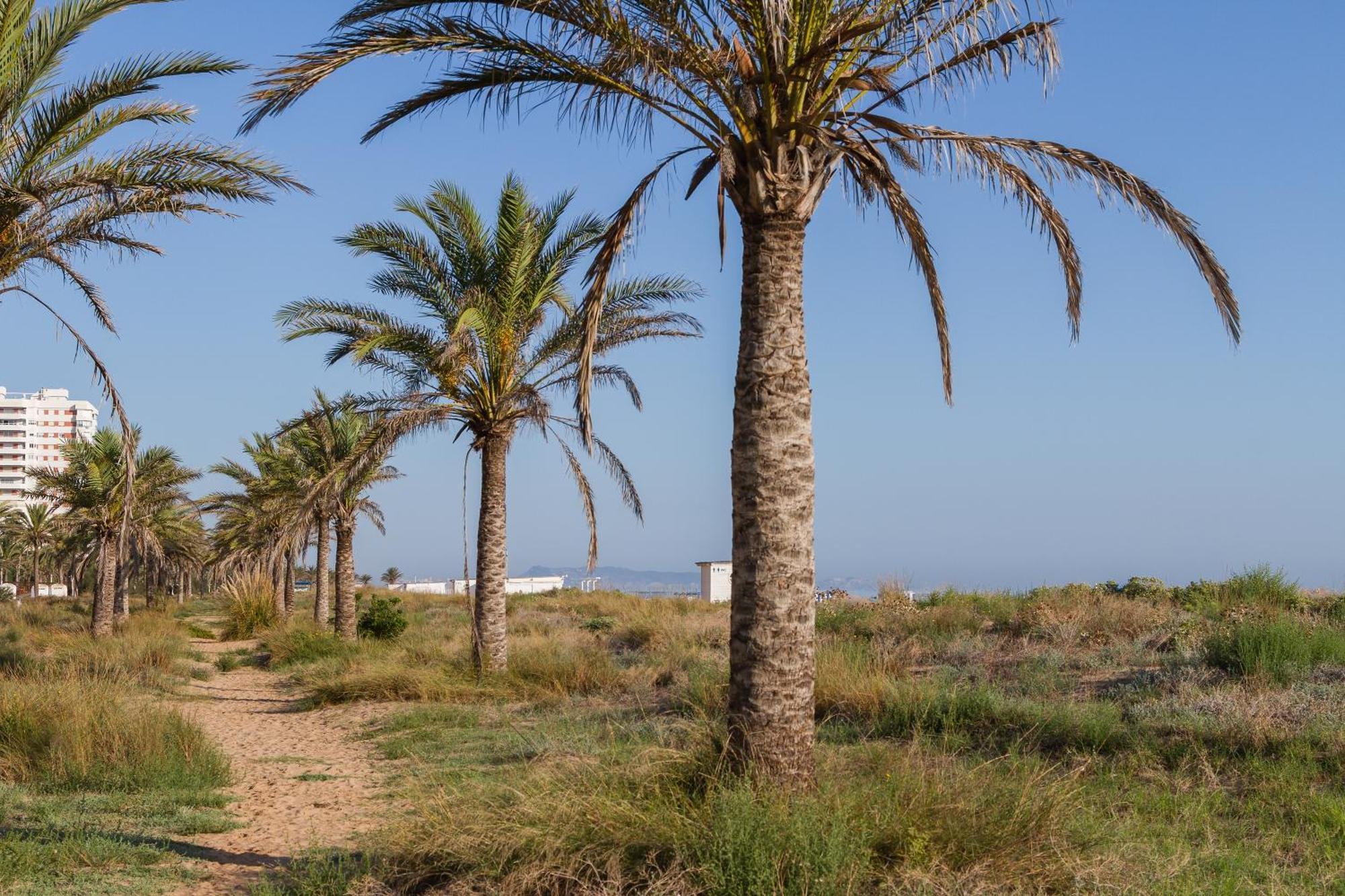 Villa Luny Playa Gandia Playa de Gandia Exterior photo